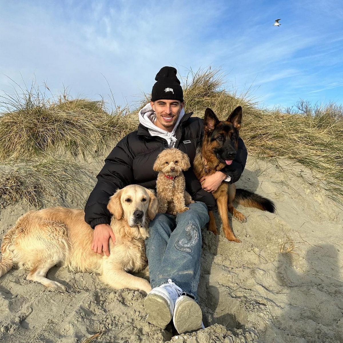 Chelsea star Kai Havertz enjoys day out with his dogs at West Wittering beach - SussexLive