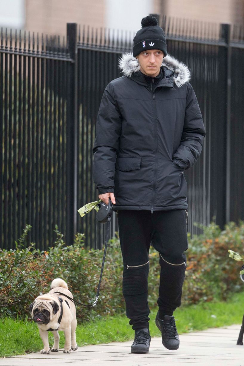 Mesut Ozil and a friend walking his ex-girlfriend Mandy Capristo's white pug and his dog Balboa