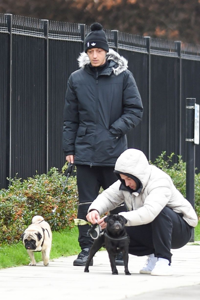 Mesut Ozil and a friend walking his ex-girlfriend Mandy Capristo's white pug and his dog Balboa