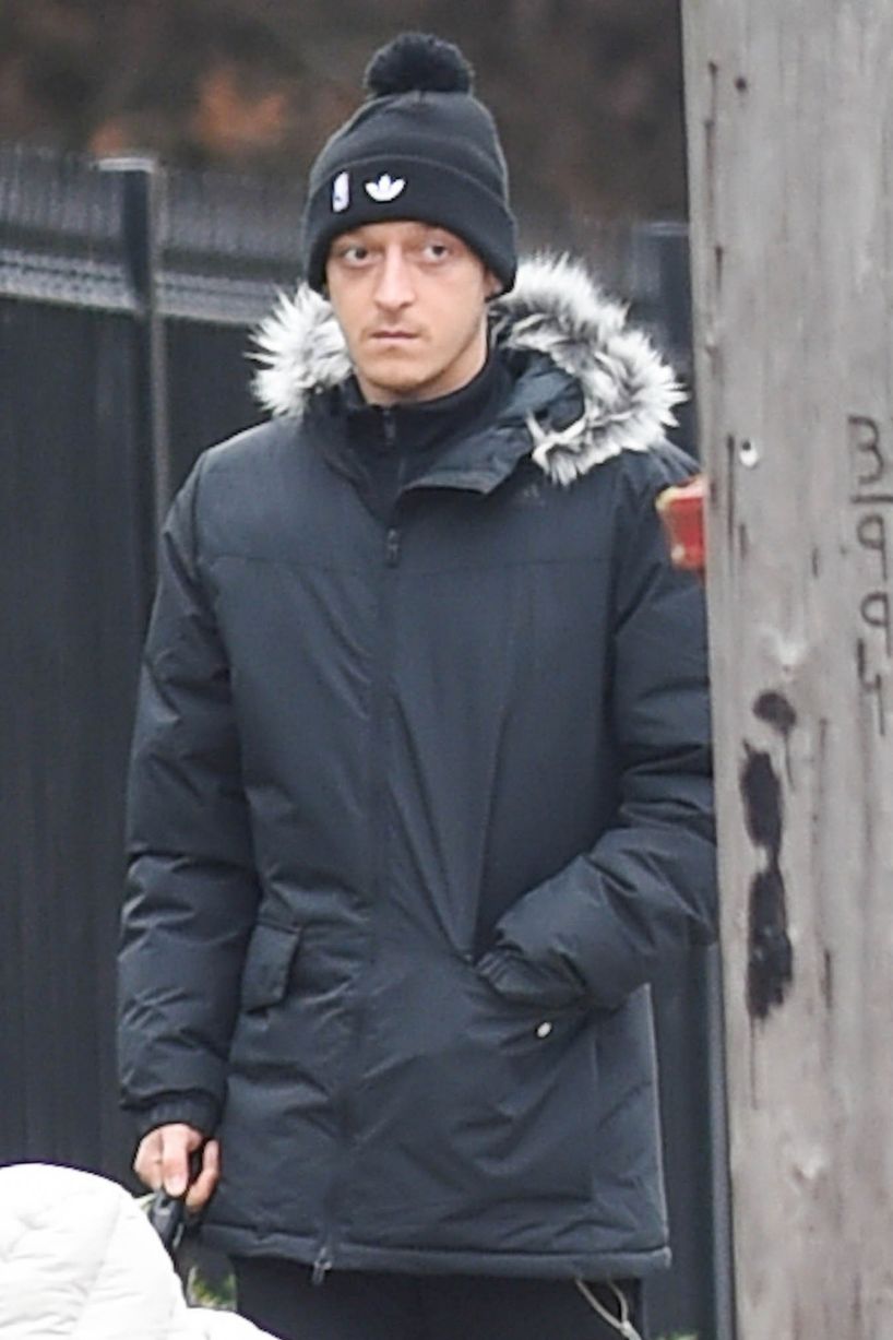 Mesut Ozil and a friend walking his ex-girlfriend Mandy Capristo's white pug and his dog Balboa