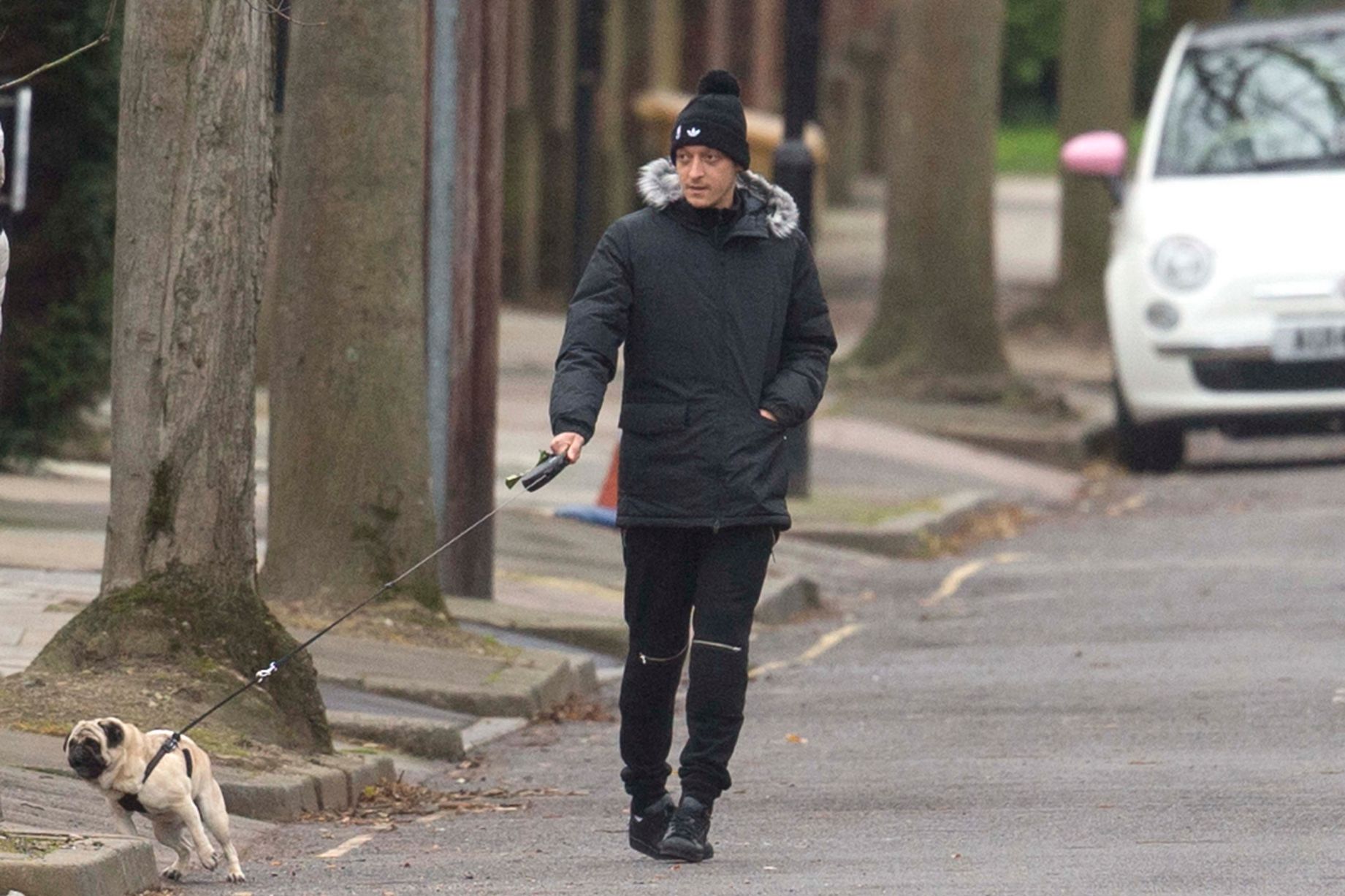 Mesut Ozil and a friend walking his ex-girlfriend Mandy Capristo's white pug and his dog Balboa