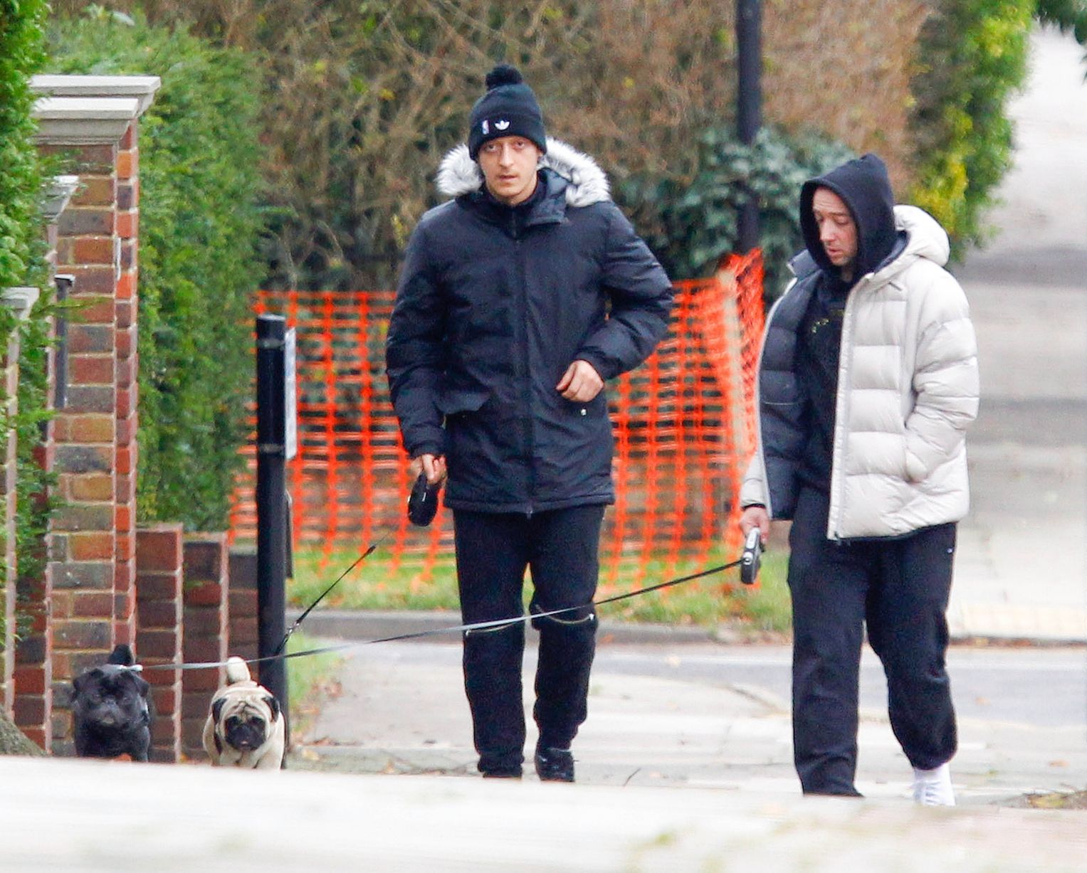 Mesut Ozil and a friend walking his ex-girlfriend Mandy Capristo's white pug and his dog Balboa