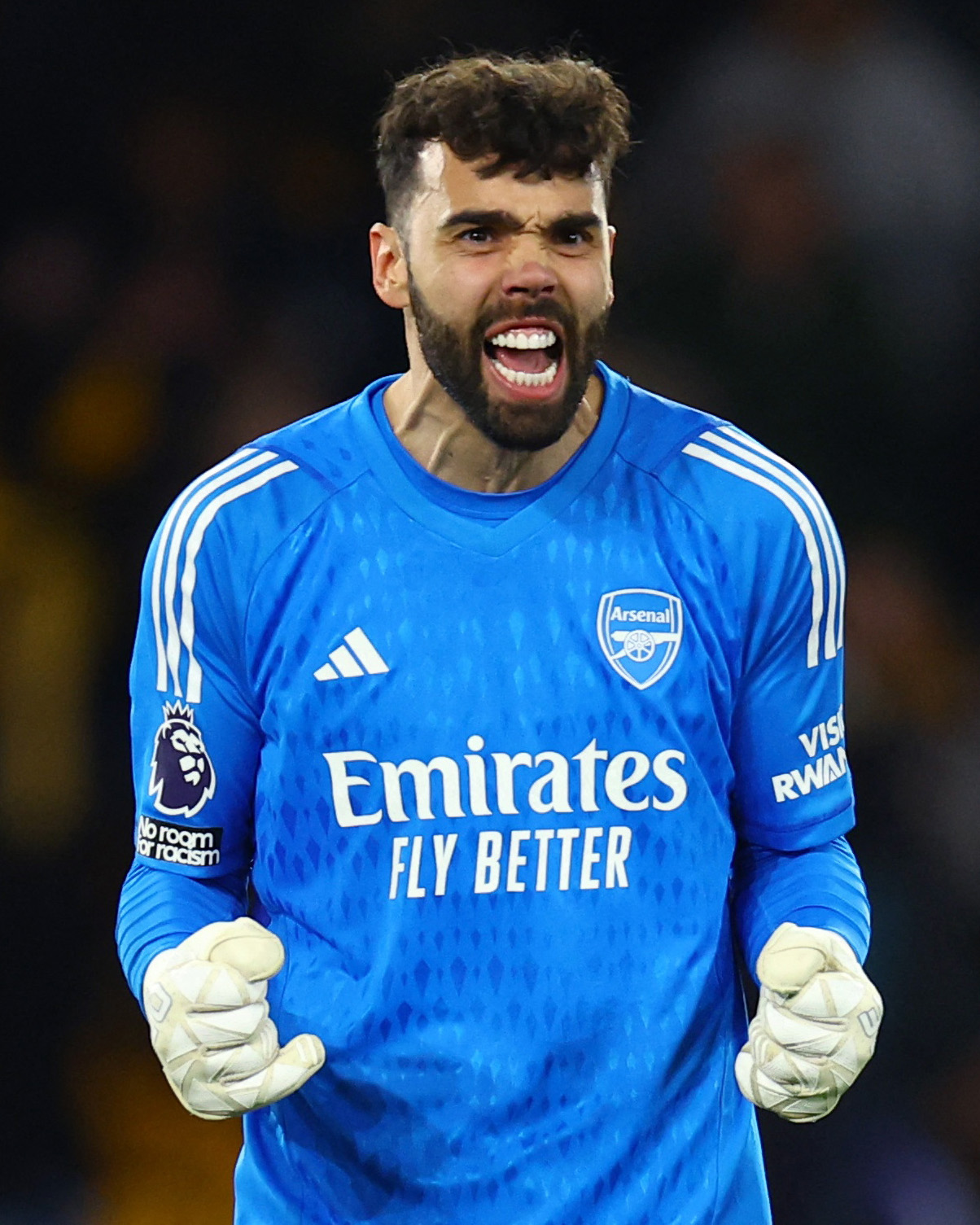 Premier League on X: "That's clean sheet number  of the season for David  Raya!  #WOLARS https://t.co/szQQ2ZXedW" / X