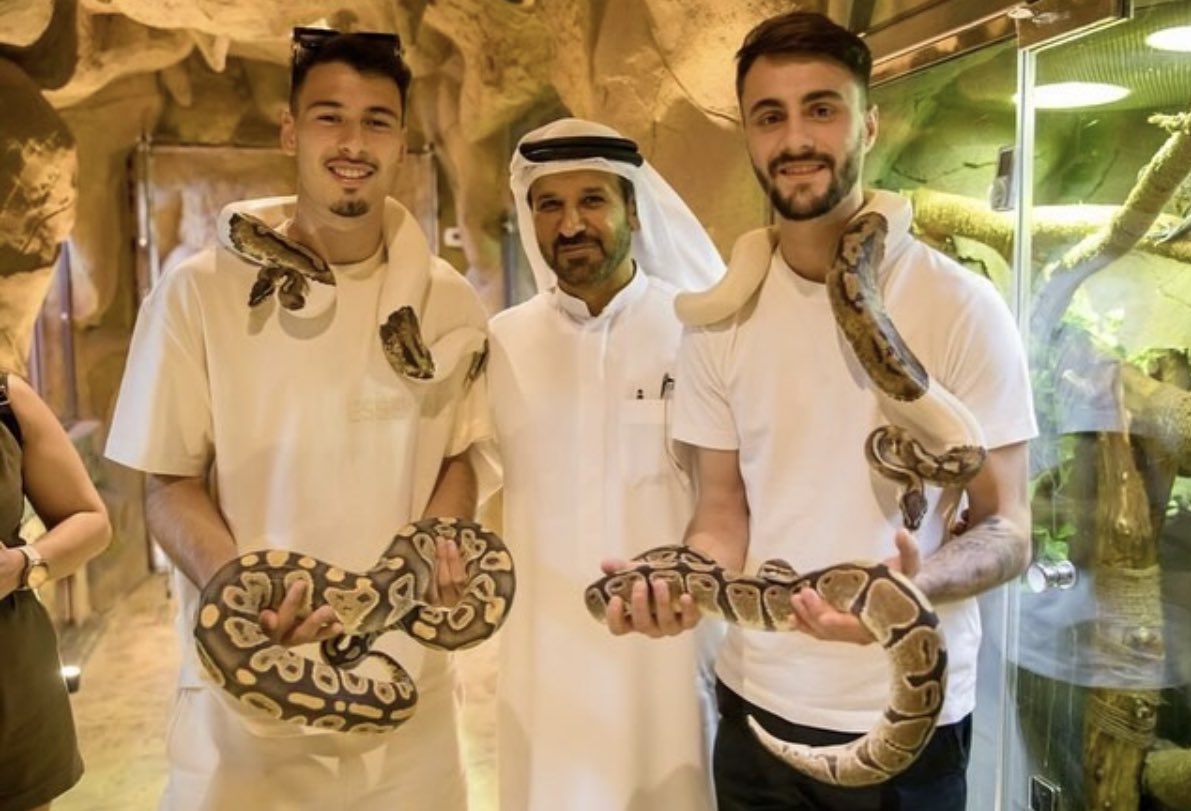 The Arsenal on X: "Gabriel Martinelli + Fabio Vieira visiting a Safari Park in Dubai ️️ #Arsenal https://t.co/UJfpLZtdou" / X