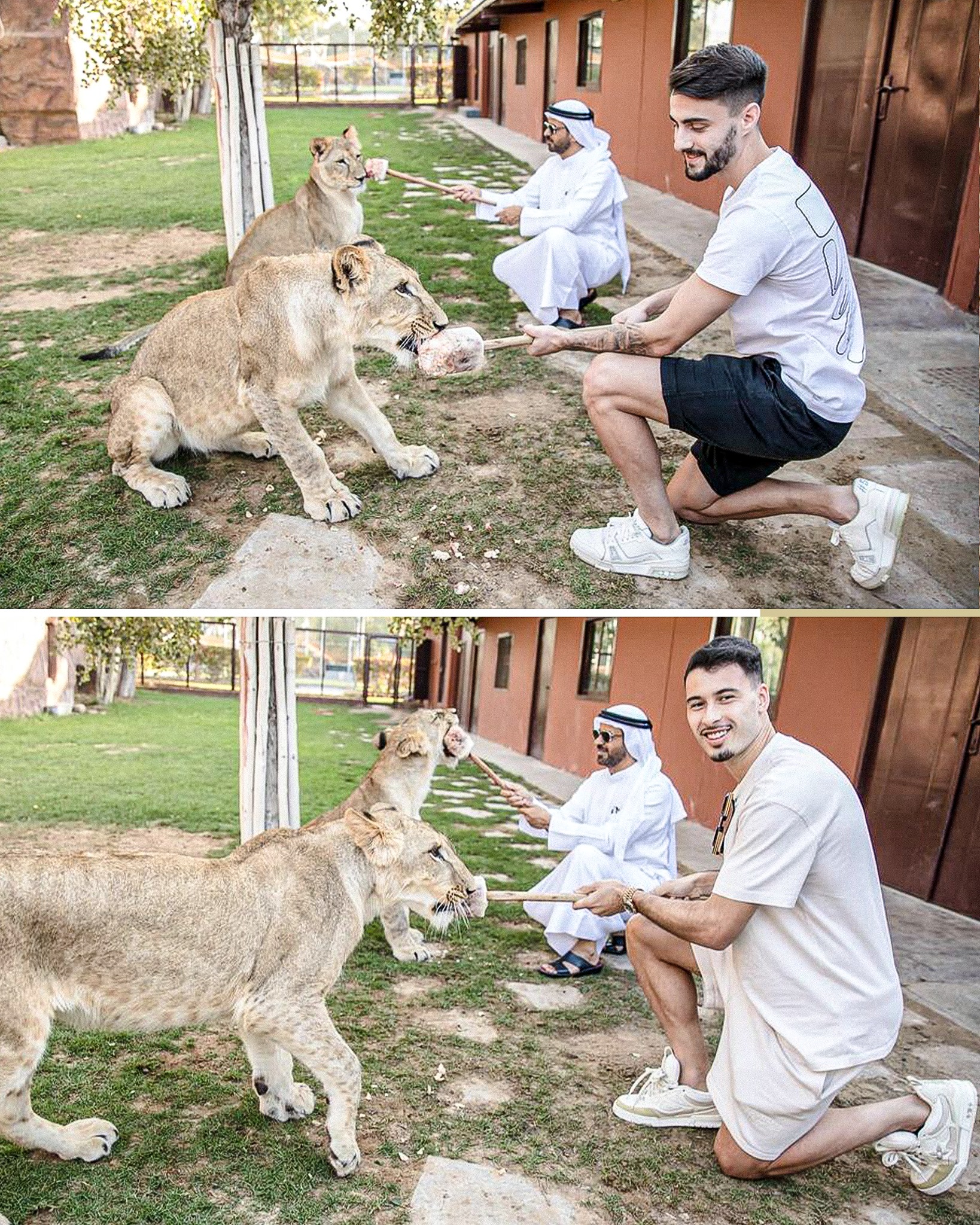 Arsenal stars Gabriel Martinelli and Fabio Vieira pose together while  enjoying a trip to Dubai Zoo