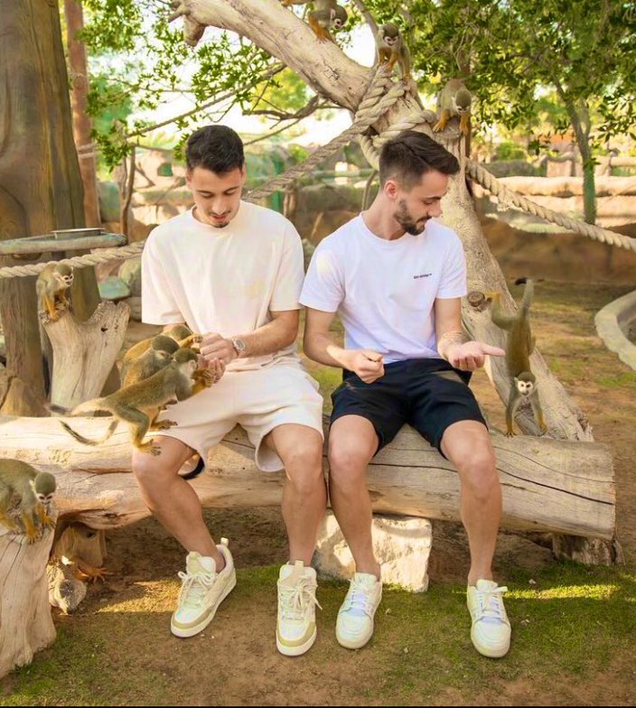 The Arsenal on X: "Gabriel Martinelli + Fabio Vieira visiting a Safari Park in Dubai ️️ #Arsenal https://t.co/UJfpLZtdou" / X